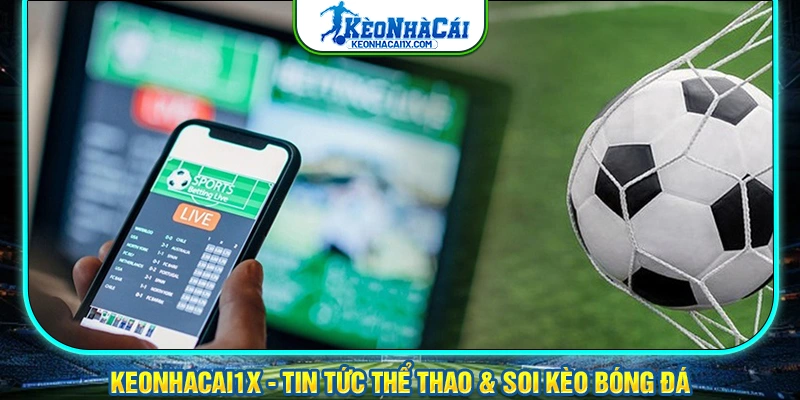Cá độ bóng đá an toàn tại những nhà cái uy tín hàng đầu