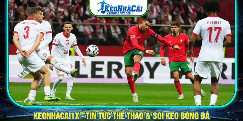 Tham khảo thông tin phân tích kèo nhà cái từ đội ngũ chuyên gia