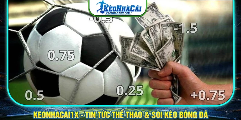 Trải nghiệm hàng loạt kèo nhà cái chất lượng tại mỗi trận bóng
